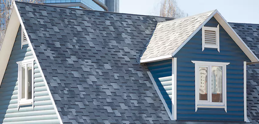 Shingle Roof Maintenance in Glenview