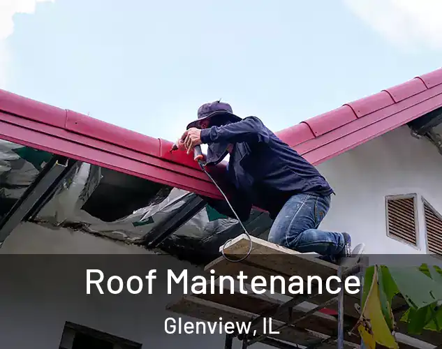  Roof Maintenance Glenview, IL