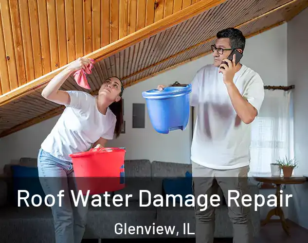  Roof Water Damage Repair Glenview, IL